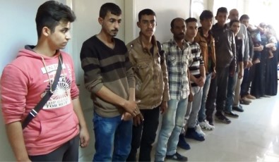 İskenderun'da 16 Kaçak Göçmen Yakalandı