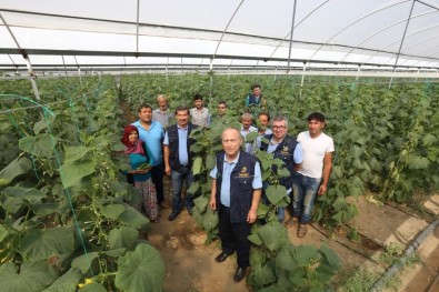 Orman Köylüsüne 2,5 Milyon TL'lik Destek