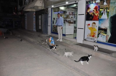 Siirt'te Sokak Hayvanları Unutulmadı