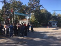 Türk-Yunan Sınır Kapısında Geçişler Yeniden Başladı