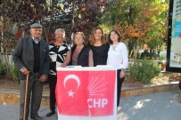 LAIKLIK - CHP'li Kadınlar İmza Kampanyası Başlattı