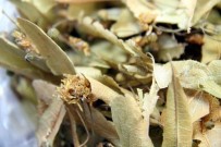 ZERDEÇAL - Çiçek Ihlamurun Kilosu 200 TL