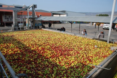 Elma Suyunu En Çok Almanlar Seviyor