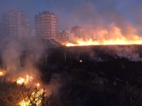 ALTINŞEHİR - Anız Yangını İkametlere Sıçramadan Söndürüldü