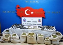 Bingöl'de 5 Teröristin Etkisiz Hale Getirilmesi