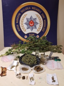 Bursa'da Uyuşturucu Operasyonunda 7 Gözaltı