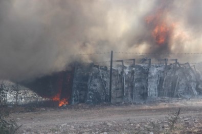 Sivas'ta Ot Yangını Paniğe Sebep Oldu