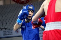 ERDEMIR - Avrupa Boks Şampiyonası'nın Üçüncü Gününde Üç Galibiyet