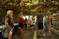 TURİST KAFİLESİ - Hasat Turizmi