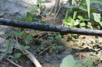 VEYSEL EROĞLU - Korkuteli Sulaması 2. Kısım İnşaatı Çalışmaları