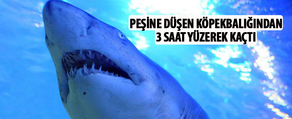Peşine düşen köpekbalığından 3 saat yüzerek kaçtı