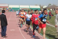 Ağrı'da ÇOGEP Gençlik Koşusu Gerçekleştirildi Haberi