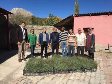 Isparta'da Çiftçiye Lavanta Dağıtıldı