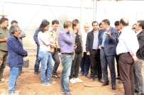 Kayapınar'da 500 Bin Fidan Ve 2 Milyon Mevsimlik Çiçek Üretecek