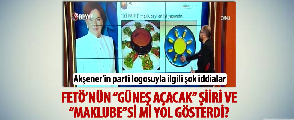 Meral Akşener'in parti logosu ile ilgili şok iddialar