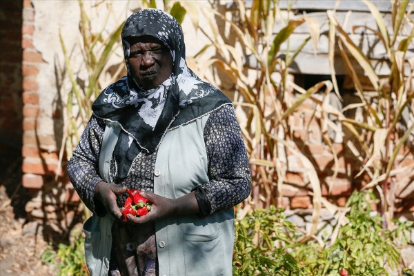 Kökenleri Afrika'dan şiveleri Ege'den