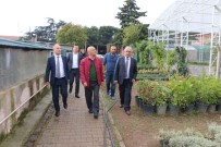 ALTıNOK ÖZ - Başkan Altınok Öz Açıklaması 'Kartal'a Hobi Bahçesi Geliyor'