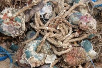 YEŞILOVACıK - Denizler Terk Edilmiş Av Araçlarından Temizlendi