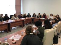 KADINA ŞİDDET - Gaziantep'te Kadına Şiddeti Önlemek İçin Yeni Eylem Planı