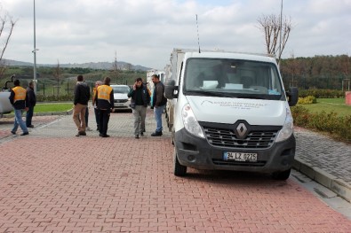 Göktürk'te Öldürülecek Denilen Köpek Barınakta Sahibini Arıyor