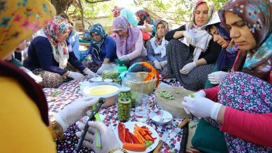 Osmaniye'de Kadınlara Zeytin İşleme Kursu