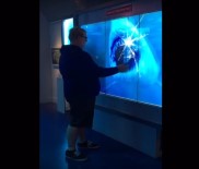 KÖPEK BALIĞI - Sanal Köpek Balığı Öyle Korkuttu Ki !