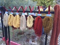 BALıKESIR ÜNIVERSITESI - Üniversite Kansere Savaş Açtı