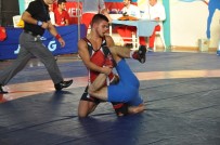 İSMAIL AYDıN - Balkan Güreş Şampiyonası Başladı