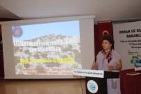 ORMAN YANGıNLARı - Aromatik Bitkiler Eğitimi Yoğun İlgi Gördü