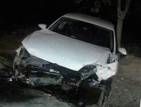 Şanlıurfa'da Otomobil Devrildi Açıklaması 4 Yaralı