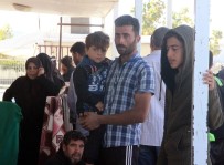 ÖNCÜPINAR - Suriyeliler Bir Daha Dönmemek Üzere Ülkelerine Gidiyor