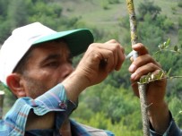 Adana'da Orman Köylüsüne Destek Haberi