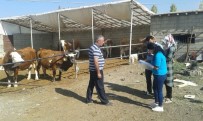 EDREMIT BELEDIYESI - Edremit'te Ahır Sahibi Çiftçiler Bilgilendiriliyor