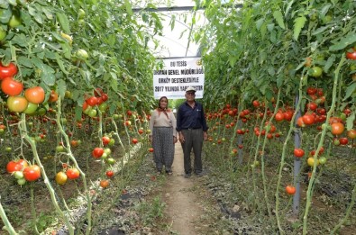 Orman Köylülerine Sera Desteği