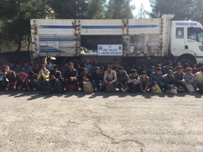 Siirt'te 88 Kaçak Mülteci Yakalandı