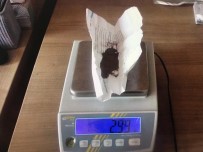 UYUŞTURUCU OPERASYONU - Tatvan'da Uyuşturucu Operasyonları Açıklaması 3 Gözaltı, 1 Tutuklama