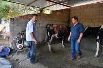 SÜT ÜRETİCİSİ - Üreticilerinin Yanında Oldular