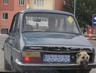 Yozgat'ta görenleri hayrete düşüren görüntü