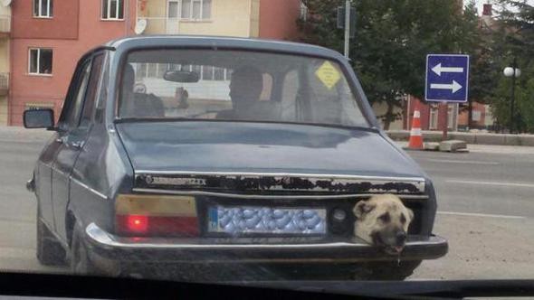 Yozgat'ta görenleri hayrete düşüren görüntü