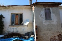 Domuz Bağıyla Öldürdüler