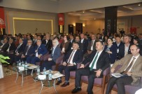 ERSIN YAZıCı - Türkiye 15 Milyon Ceviz Ağacından 200 Bin Tonu Aşkın Ceviz Elde Ediyor