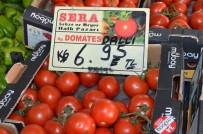 MURAT YILDIRIM - Edirne'de Domatesin Ateşi Yükseldi