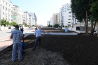 Hurma Mahallesi'nde Yeşil Band Çalışması