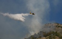 MUĞLA ORMAN BÖLGE MÜDÜRÜ - Milas'ta Ateş Kuşları Görevlerini Başarıyla Tamamladı