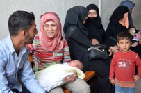 Türkiye'de Kaç Suriyeli Var ?
