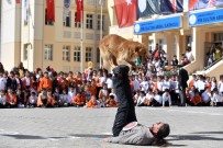 PATLAMIŞ MISIR - Ankara Büyükşehir Belediyesinden Hayvanları Koruma Günü Etkinliği