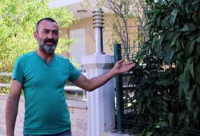 Antalya'da sokak köpeği katledildi