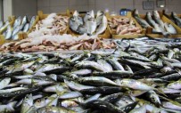 Çanakkale'de Balık Fiyatları El Yakıyor