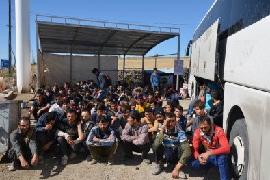 Otobüsten 181 Kaçak Göçmen Çıktı