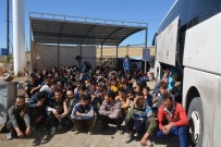Otobüsten 181 Kaçak Göçmen Çıktı Haberi